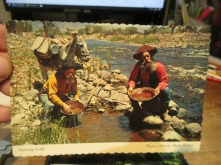 Vintage Old Postcard California Panning Gold Veins Mother Lode River Colton Men