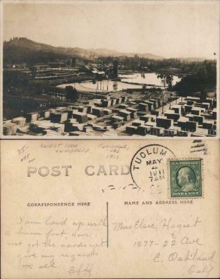 1911 Rppc Tuolumne,  Ca West Side Of Lumber Yard California Real Photo Post Card