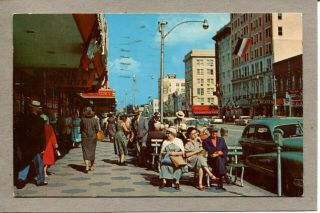 Postcard Green Benches St.  Petersburg Florida Fl 1960 