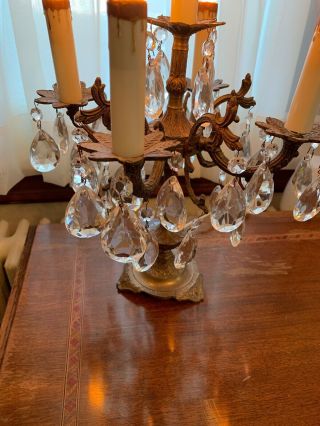 Vintage French Provincial Brass and Crystal 5 Light Table Lamp with 4 Arms 4