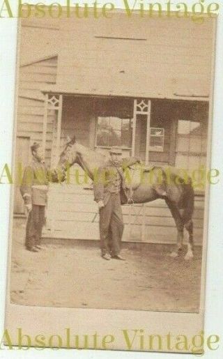 Military Cdv Soldiers In Uniform With Horse Webster Photo Auckland Zealand