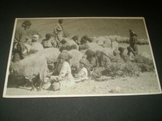 Social History Iraq Region Of Kurdistan 1931 (info On Back) Photo Postcard 15