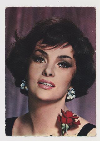 Sexy Actress Gina Lollobrigida Vintage Photo Postcard Rppc (48177)