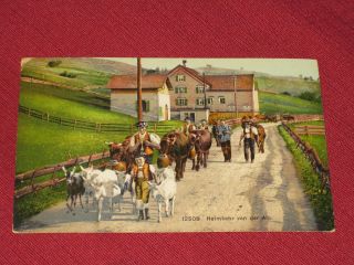 1913 Heimkehr Von Der Alp Postcard 12508 Posted Vg
