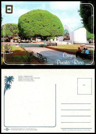 Us Postcard Cayey,  Puerto Rico (p4)