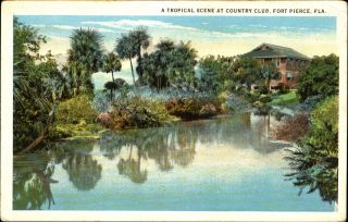 Tropical Scene At Country Club Fort Pierce Florida Fl 1920s Postcard