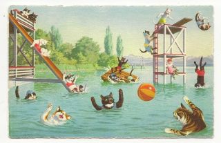 Postcard Alfred Mainzer Cats Having Fun In The Swimming Pool Long Island Ny