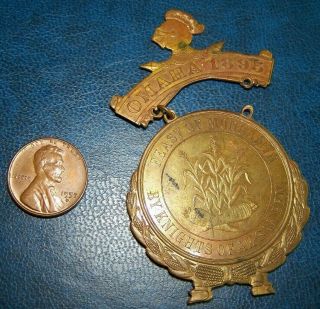 1895 Omaha Nebraska Ak Sar Ben Souvenir Pin.  Rare.