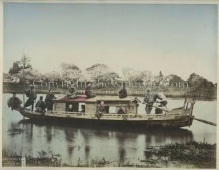 3 Photos Tokyo Japan - Shinobazu Kimbei - River Boat Uchida,  Wisteria 1870s/80s