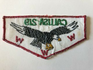 Calusa Lodge 219 ZF1a OA Flap patch Order of the Arrow Boy Scouts near 2