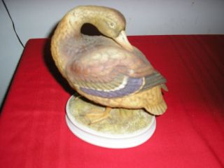 Mallard Duck Porcelain Figurine Signed By Andrea For Sadek