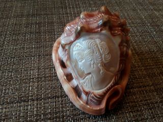 Vintage Cameo Conch Sea Shell Carved Lady Profile