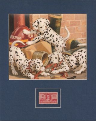 Dalmation Puppies - Fireman 