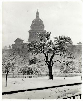Texas State Capitol Snow Day Vintage 8 " X 10 " Black & White Photograph Austin
