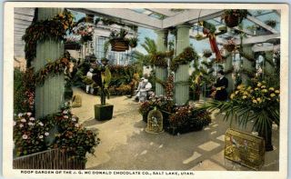 1930s Salt Lake City,  Utah Postcard " Roof Garden Of J.  G.  Mcdonald Chocolate Co.  "