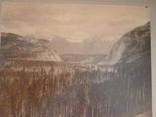 C.  1910 13x10 Silver Gelatin Print R.  H.  Trueman Vancouver,  Bc Bow River Valley