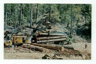 Ca Fort Bragg California Vintage Logging Post Card Union Lumber Co.  Redwood Logs