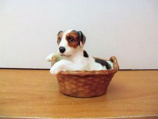 Royal Doulton Dog Terrier Sitting In A Basket Hn2587 Retired 1985