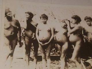 Rare 1930s Real Photo Postcard Of Nude Corpulent Guinea Native Women