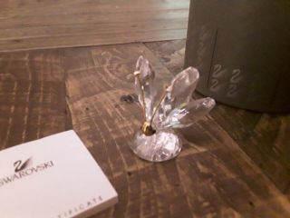Swarovski Crystal Mini Butterfly With Crystal Tips & Gold Antenna 7667 035 Mib