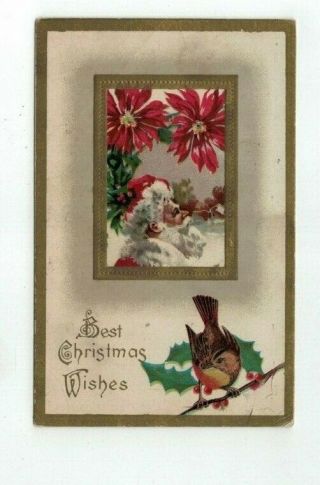 Antique Embossed Christmas Post Card Santa Face Poinsettias Bird Holly
