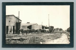 “ox Team At Saw Mill” Baton Rouge Louisiana Rppc Antique Railroad Photo 1910s