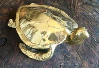 Beautifully Made Italian Large Scale Brass Hawksbill Sea Turtle Box