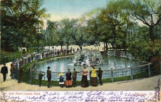 Vintage Lincoln Park Seal Pond Glitter Postcard Chicago Illinois 1907 Postmark