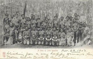 South Africa Topless Zulu Women Ethnic 1903 Postcard To Uk