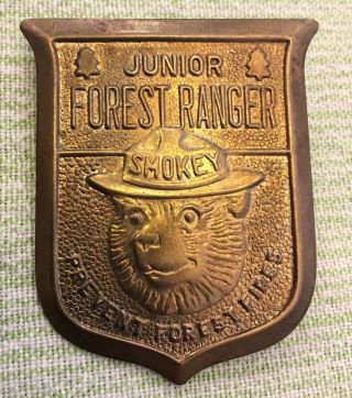 Vintage Smokey Bear Prevent Fire Junior Forest Ranger Goldtone Metal Pin Badge
