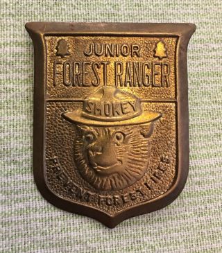 Vintage Smokey Bear Prevent Fire Junior Forest Ranger Goldtone Metal Pin Badge 2