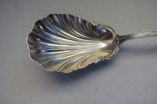 Vintage La Comtesse Reed & Barton Sterling Silver Berry Spoon 1897 3
