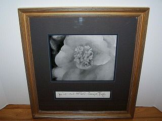 Signed Photograph Of Art By Georgia O 