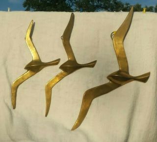 Brass Birds In Flight Flying Seagulls Mid Century Modern Wall Hanging Art X 3