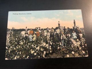 Early Color Postcard - - Oklahoma - - Scene Picking Cotton - - Men Women Children Stats