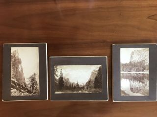Antique Albumen Photographic Prints By George Fiske Of Yosemite