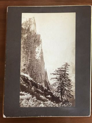 Antique Albumen Photographic Prints By George Fiske Of Yosemite 4