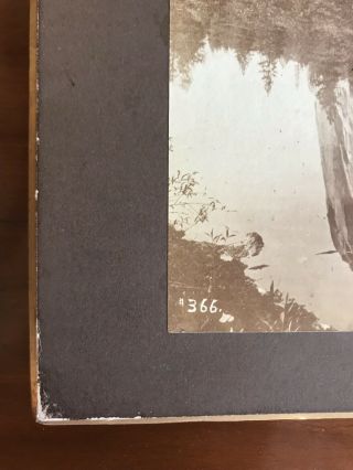 Antique Albumen Photographic Prints By George Fiske Of Yosemite 7