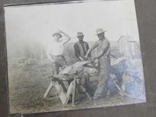 Early Western Pioneer Photo Album Hunting Ranching,  Man Dressed as Woman 6