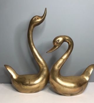 Set Of 2 Large Solid Brass Swans Geese Vintage Mid Century 19 " & 12.  5 " Tall Gold
