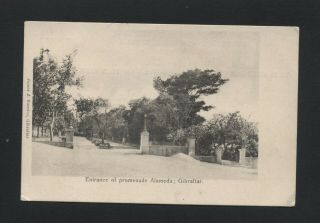 Entrance Of Promenade.  Alamed.  Gibraltar.  Undivided Back.  Date Unknown