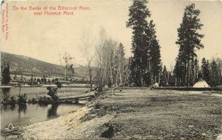 C1970 Postcard; Banks Of The Bitterroot River,  Near Florence Mt Ravalli County