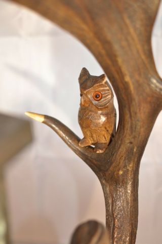 RARE antique German Black Forest Carved Wood & Antler Desk Lamp Owl Shepard Cat 3