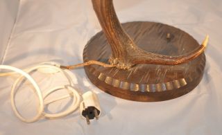 RARE antique German Black Forest Carved Wood & Antler Desk Lamp Owl Shepard Cat 7