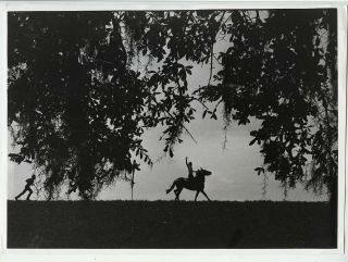 Eddie Adams Vintage 1970 Horseback Riding Along The Mississippi Press Photo