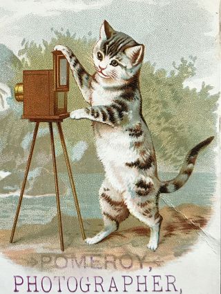 CABINET PHOTOGRAPHER ' S ADVERTISING CARD CAT W/ WET PLATE GLASS NEGATIVE CAMERA 2