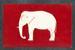 Louisiana Purchase Expo Siam Pavilion Elephant - Circa 1905 Postcard Grade 5