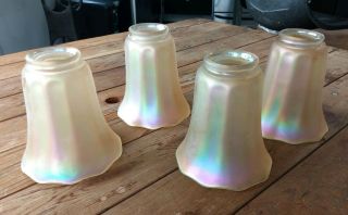 4 Matching Marigold Carnival Opalescent/Luster Glass Lamp Shades by Nuart 2