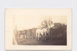 Rppc Real Photo Postcard Kansas Burr Oak Row Of Horses With Tails Braided 1925