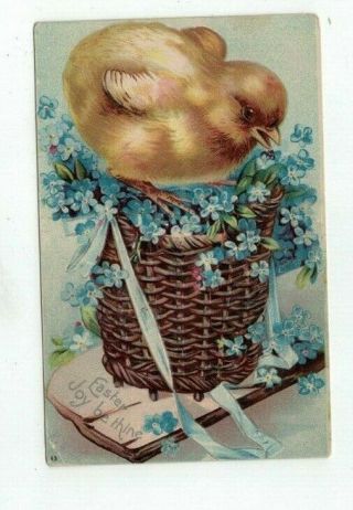 1907 Embossed Easter Post Card Large Yellow Chick Blue Forget - Me - Nots Basket